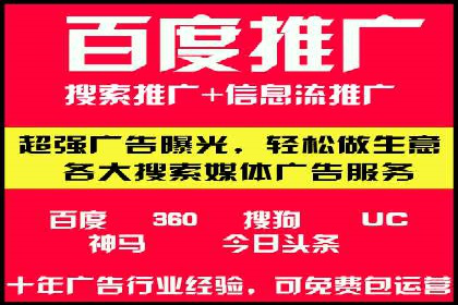 搜索引擎营销（SEM）成功案例详解